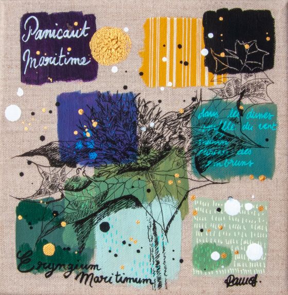 Panicaut maritime 2